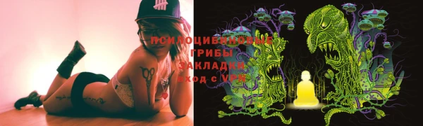 хмурый Каменногорск